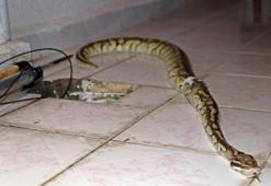 Evinin balkonunda dehşeti yaşamıştı! Cezası belli oldu...