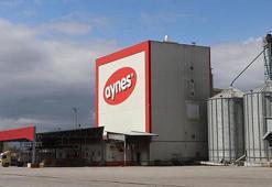 Aynes gıda yönetimi TMSF`ye devredildi