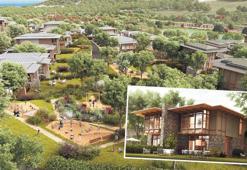 2.8 milyarlık ‘aslan’ vadisi