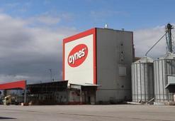 Aynes'e yeniden kayyum atanması kararı