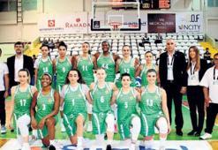 Kırçiçeği Bodrum Fener’e  bileniyor