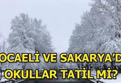 Kocaeli ve Sakarya'da okullar tatil edildi mi?