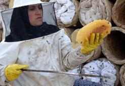 Hizan'ın karakovan balı Avrupa pazarında