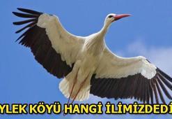 Avrupa Leylek Köyü seçilen köy hangi ilimizdedir? Hadi ipucu sorusu ve yanıtı