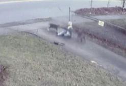 Son dakika: Bir anda etrafını sardılar! Aç pitbullar kadına kâbusu yaşattı