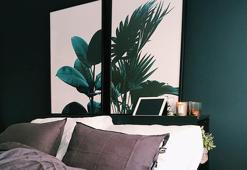 Akrep burcu için dekorasyon önerileri