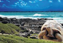 Dünyaya iz bırakan seyahatler