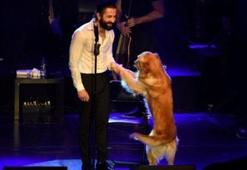 Geçtiğimiz günlerde konsere köpeği ile katılarak hafızalardan silinmeyecek bir konsere imza atan şarkıcı kimdir?