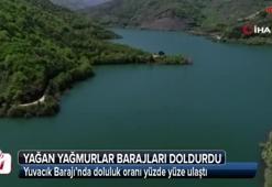 Yağan yağmurlar barajları doldurdu