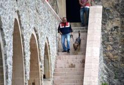 4 yıldır restorasyondaki Sümela ziyarete açıldı