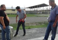 Kars'ta yol kenarında yaralı kızıl şahin bulundu