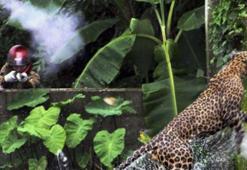 Leopar otel çalışanını öldürdü
