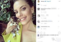 Ünlülerin çocuklukları