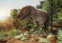 Son teknoloji sayesinde T-rex evlere girmeye başladı
