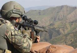 Hakkari'de 2 terörist etkisiz hale getirildi