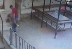 5 kediyi öldüren köpeğe öldüresiye dayak kamerada