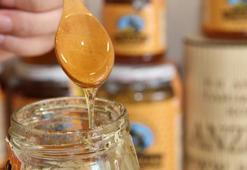 Anzer balında 1,5 ton rekolte