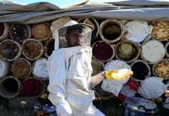 3 bin rakımlı yaylalarda karakovan balı