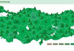 Geleceğe Nefes fidan dikimi ne zaman yapılacak? Fidan dikim yerleri sorgulama