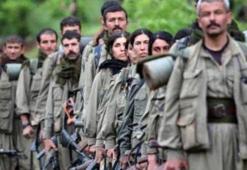 PKK'nın kirli yüzü uluslararası BM raporlarda!