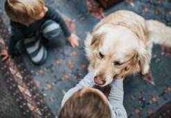 Köpek beslenen evde büyümek şizofreniyi engelliyor