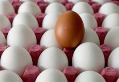 Yumurta üreticileri Arap pazarına yöneldi