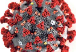 ‘Komploya değil bilime bakın’