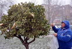 Alkışlanacak hareket! Kuşlar için...