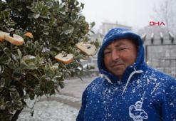 Kuşlar için ağaçlara ekmek asıyor