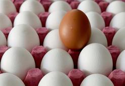 Irak'ın yumurta ithalatı yasağı Suriye ve Kuveyt'e ihracatta rekor getirdi