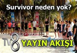 Survivor neden yok, yeni bölüm ne zaman? Survivor 2020 hangi günler yayınlanıyor? TV8 yayın akışı