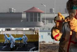 Son dakika: Koronavirüs durdurulamıyor! İran'da ölü sayısı artıyor