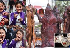 Son dakika... Salgın yarasaları işaret ediyor! Koronavirüs bakın nasıl ortaya çıktı?