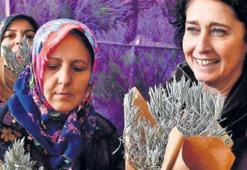 Kemalpaşa’ya beş bin lavanta