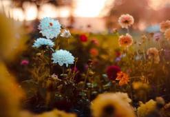 Üçüncü cemre düştü mü, ne zaman düşecek? Baharın müjdeleyicisi Cemre düşme tarihleri