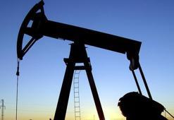 Petrol krizi sonrası servetleri eridi