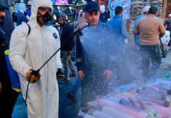 Pandemi nedir, ne demektir? Corona Virüsü için Pandemi ilan edildi