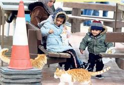 ‘Her 10 saatte bir çocuk ölüyor!’