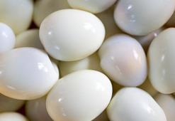 Artan haşlanmış yumurta nasıl saklanır? Artan yumurta ile ne yapılır?