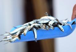 Mezgit balığı nasıl pişirilir? Tavada ve ızgarada mezgit balığı pişirme