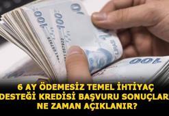 Temel ihtiyaç desteği kredisi başvurusu nasıl yapılır, sonuçlar ne zaman açıklanır? 10 bin TL Halkbank, Vakıfbank ve Ziraat Bankası 6 ay ödemesiz kredi sorgulama ekranı...