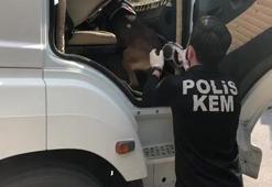 Polisler şoke oldu! TIR şoförünün yatağının altından çıktı!