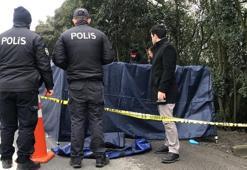 Göçmen kaçakçıları kazandıkları parayı paylaşamayınca arkadaşlarını öldürüp TEM'e attılar