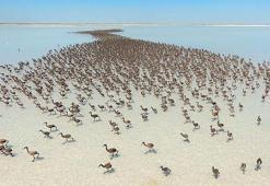 Konya Gezilecek Yerler (2022) - Konya Mutlaka Gezilmesi Gereken Yerlerin Listesi