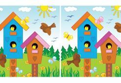 Resimler farklı, nerede bu işin sırrı?