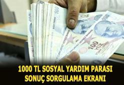 1000 TL sosyal yardım parası başvurusu yapma ve pandemi sonuçları sorgulama ekranı! e-Devlet'ten sosyal yardım başvurusu nasıl yapılır, kimler alabilir?