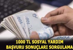 e-Devlet 1000 TL sosyal yardım başvurusu ve sonuçları için TIKLA! Pandemi sosyal yardım parası sonuçları sorgulaması nasıl yapılır, kimler alabilir?