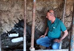 İnşa sırasında ortaya çıkan tarihi köprüye koruma!