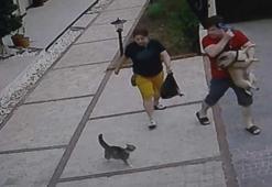 Köpekli çiftin zor anları! Kedinin hışmına uğradılar!