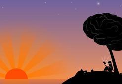 Sosyal izolasyon duygularınız ile yüzleşmeye nasıl yardımcı oldu?